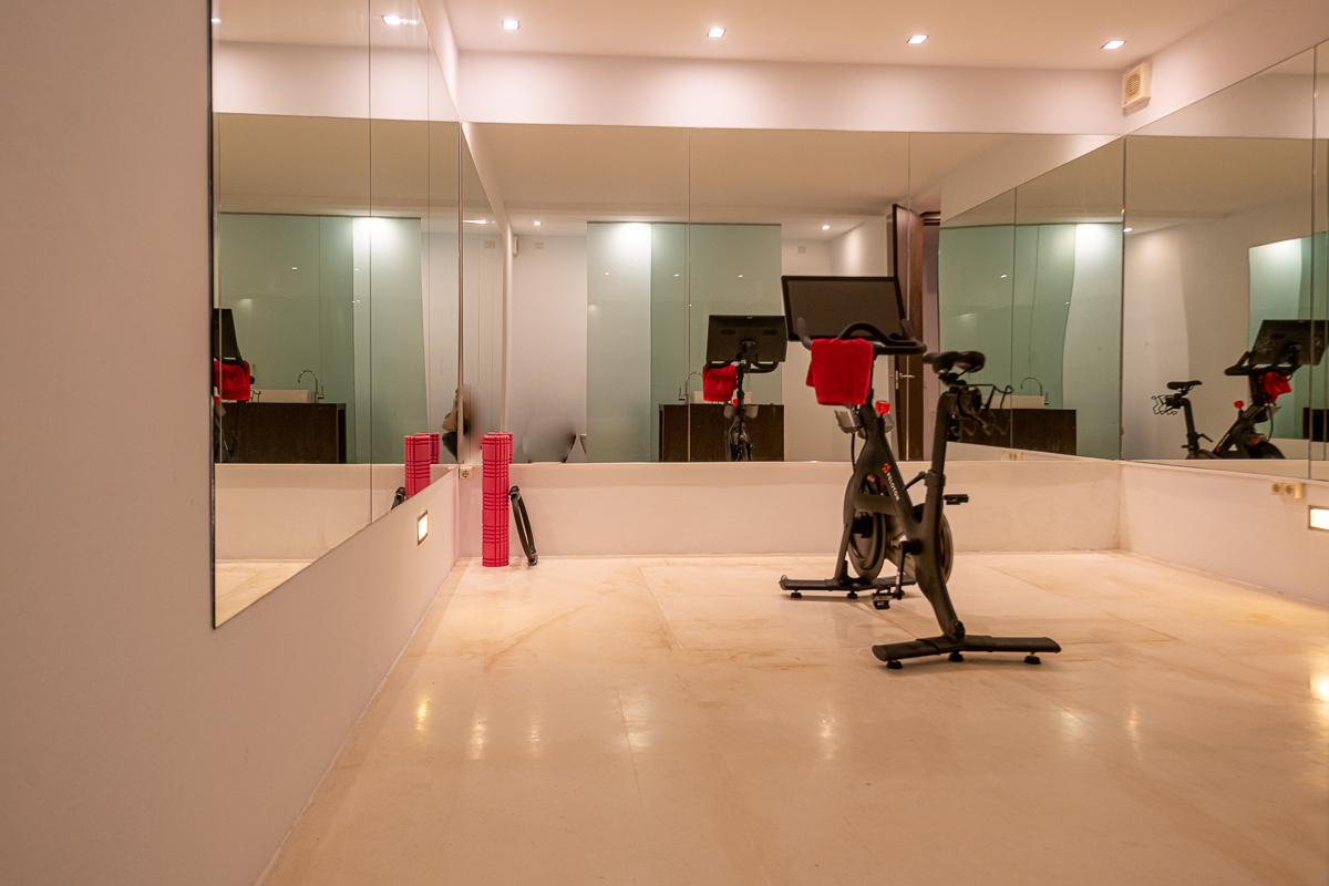 Resa estates Ibiza villa for sale modern dutch gym.jpg